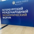 Петербургский международный экономический форум - 2024