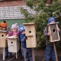 В Череповце наградят участников городского семейного конкурса «Птичье новоселье»