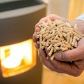 "Энергия из биомассы: котельные и ТЭЦ на биотопливе, производство пеллет, брикетов, биогаза в России и в мире"