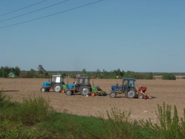 В Вологодской области ускорят выделение бизнесу земель сельхозназначения.