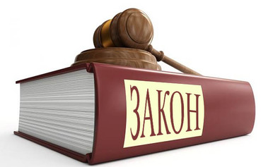Правительство внесло в ГД законопроект о защите прав юрлиц при привлечении к админответственности